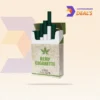 Eco-friendly disposable cigarette packaging with logo
